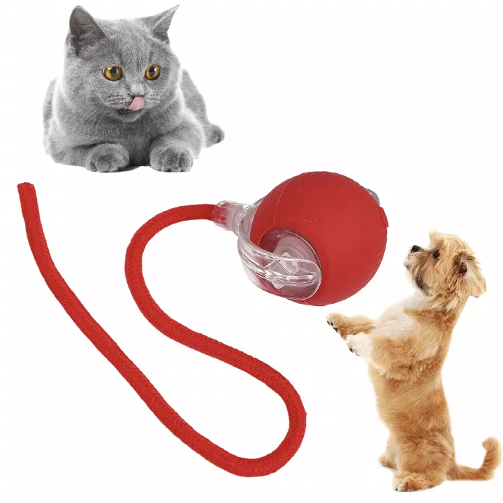 Interactive Pet Ball Toy for Cats & Dogs, Automatic Moving Ball with USB Charging, Durable for Self-Play, Keep Pets Entertained All Day