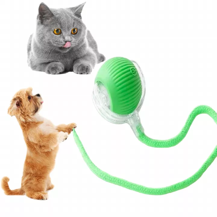 Automatic Rolling Pet Toy for Cats and Dogs, USB-Rechargeable Interactive Ball, Promotes Active Play, Ideal for Independent Entertainment