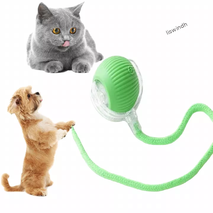 Automatic Rolling Pet Toy for Cats and Dogs, USB-Rechargeable Interactive Ball, Promotes Active Play, Ideal for Independent Entertainment