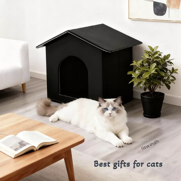 cat-house-2