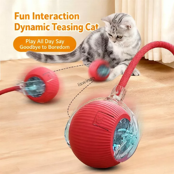nteractive-pet-ball