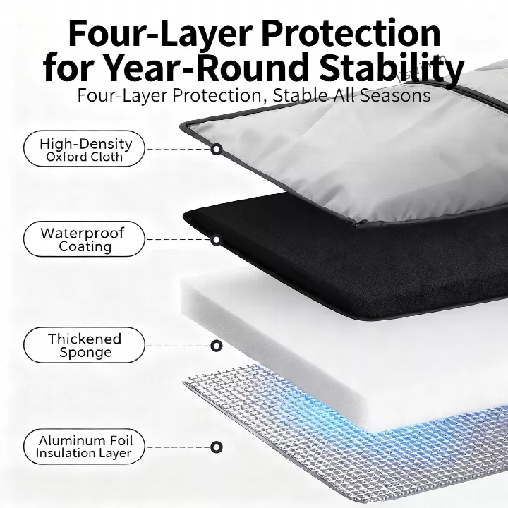 stray-cat-winter-house